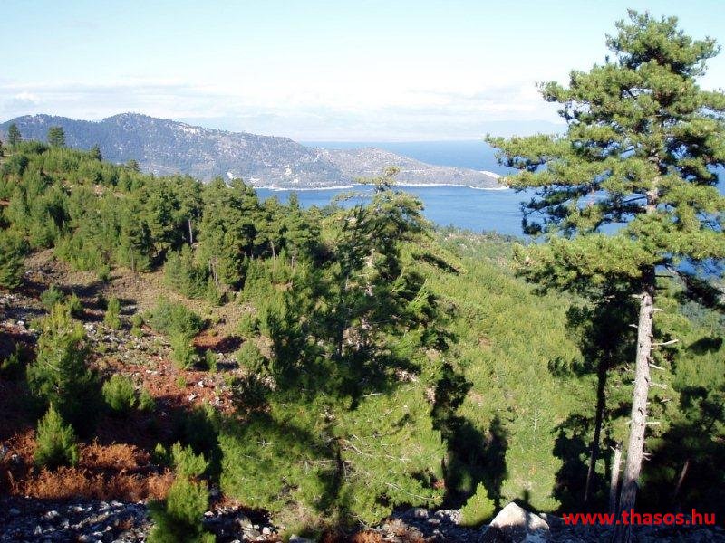 Golden Beach, hegyek